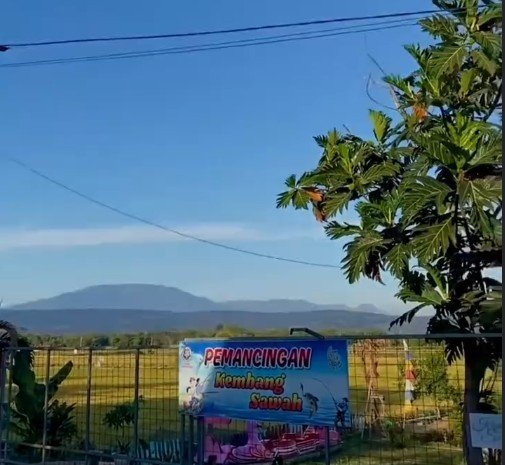 Suasana di sekitaran