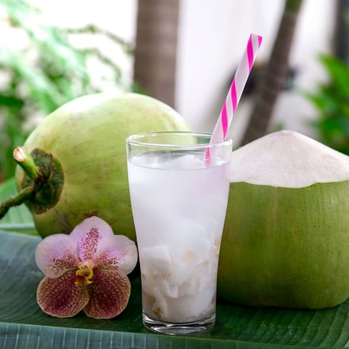 Es Kelapa