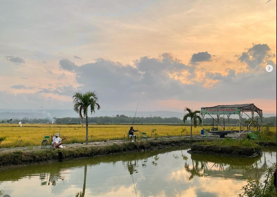 Wisata Mancing Kembang Sawah